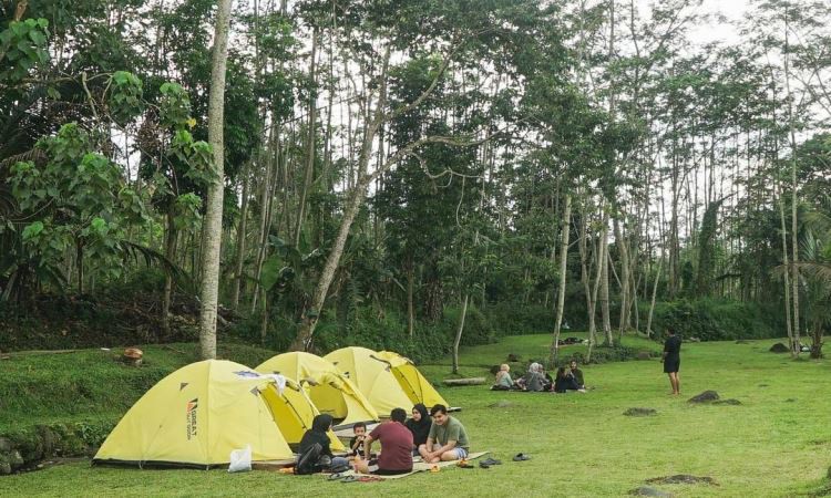 Aktivitas Menarik Ledok Sambi