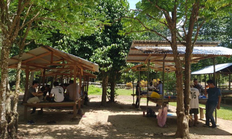 Aktivitas Menarik Pucok Krueng
