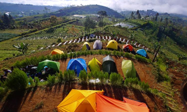 Aktivitas Menarik di Silancur Highland
