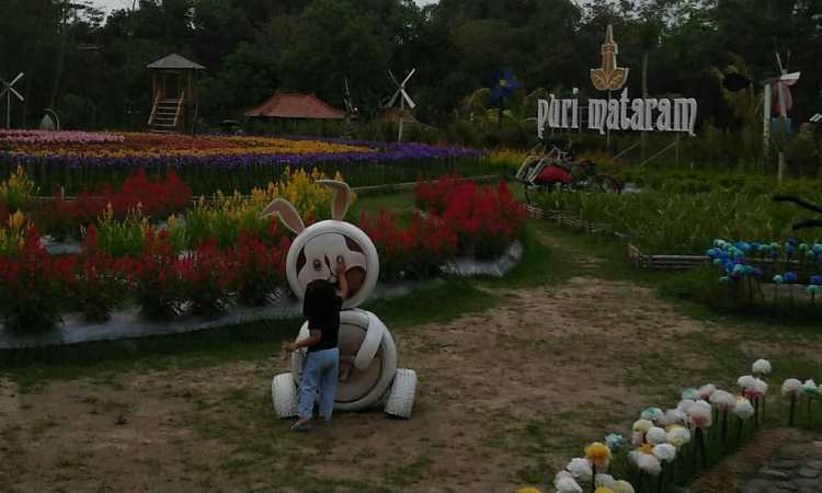 Aktivitas Seru Puri Mataram Sleman