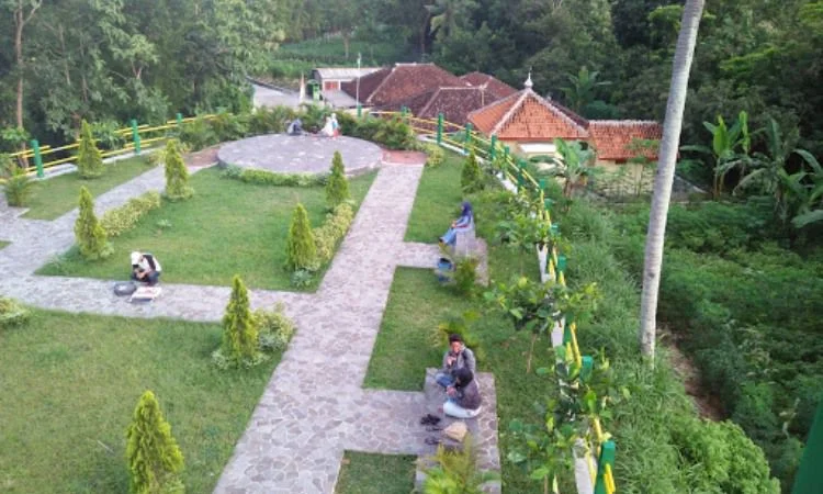 Aktivitas di Bukit Teletubbies