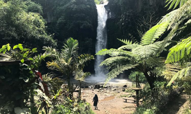 Aktivitas di Coban Jahe
