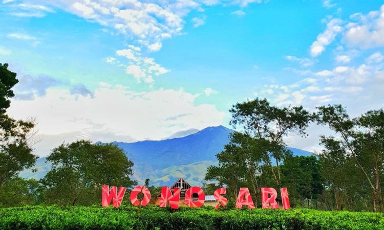 Alamat Kebun Teh Wonosari