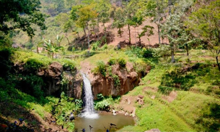 Daya Tarik Dimiliki Coban Jahe