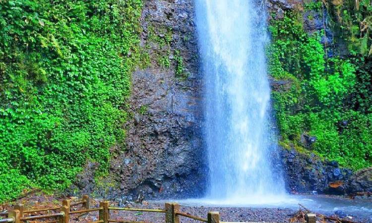 Daya Tarik Dimiliki Coban Sewu