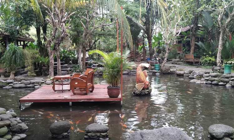 Daya Tarik Dimiliki Kampung Flory Sleman