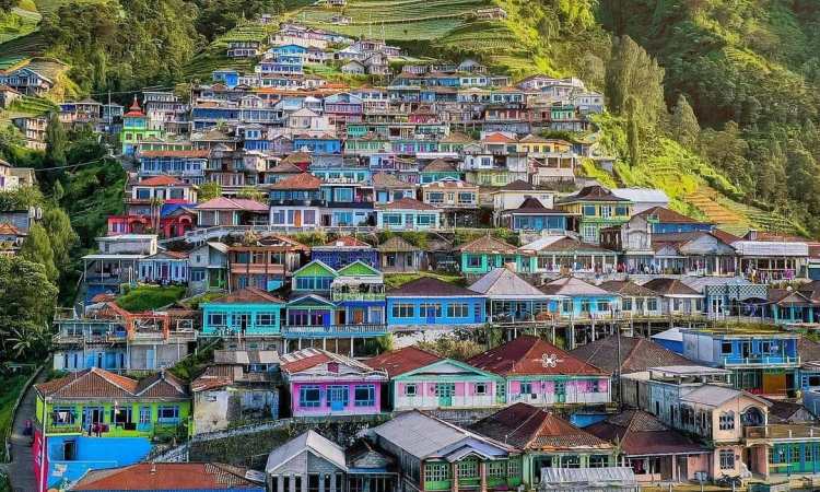 Daya Tarik Dimiliki Nepal Van Java