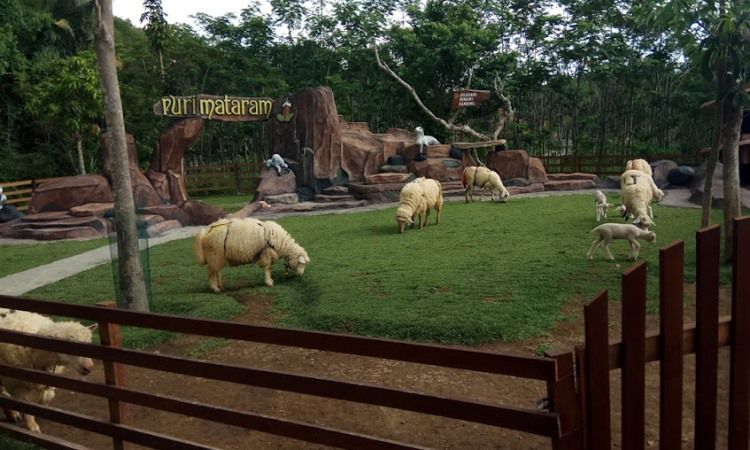 Daya Tarik Puri Mataram Sleman