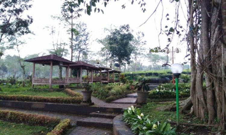 Fasilitas di Kawasan Kebun Teh Wonosari