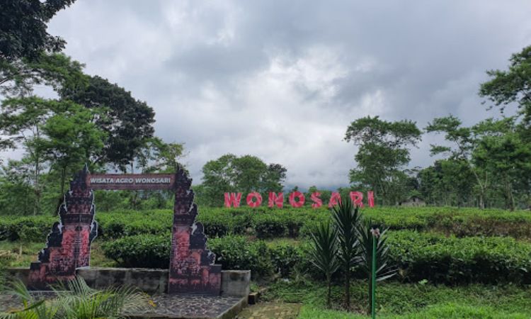 Harga Tiket Kebun Teh Wonosari