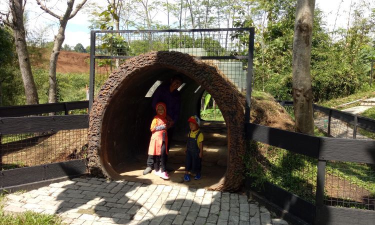 Aktivitas Menarik di Bogor Mini Zoo
