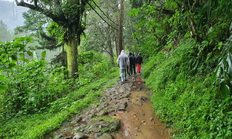 Aktivitas Menarik di Curug Panjang
