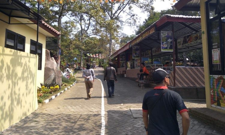 Aktivitas Menarik di Duyung Trawas Hil