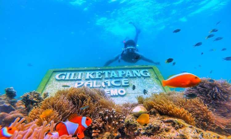 Aktivitas Menarik di Gili Ketapang