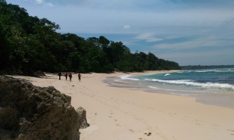 Aktivitas Menarik di Pantai Plengkung