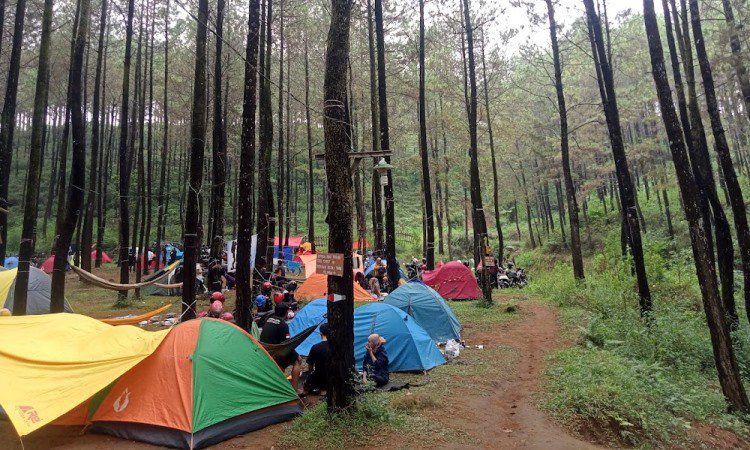 Aktivitas Menarik di Puthuk Panggang Welut
