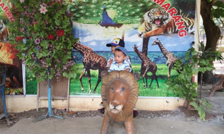 Aktivitas Semarang Zoo
