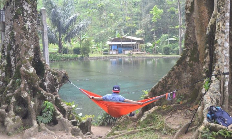 Aktivitas Seru Rambut Monte Blitar