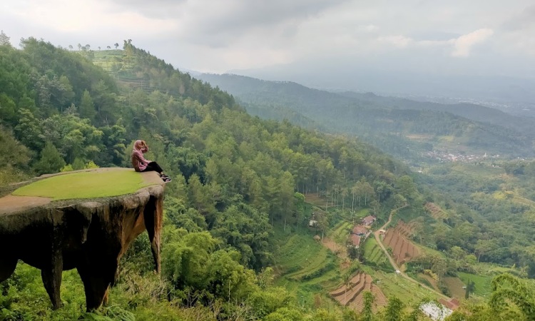 Aktivitas di Goa Pinus