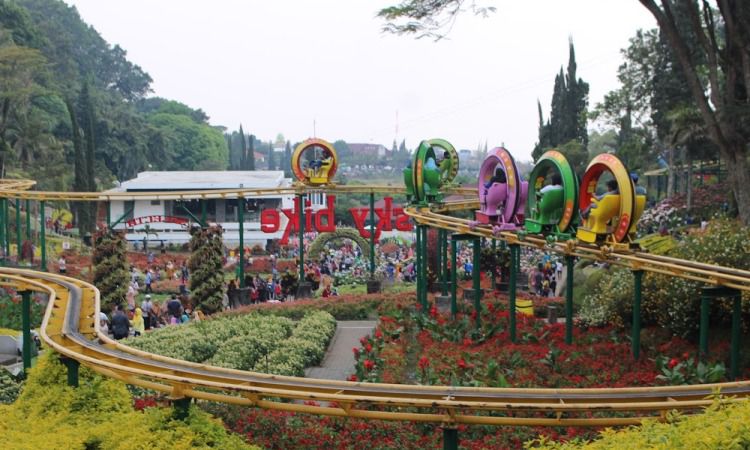 Aktivitas di Taman Selecta