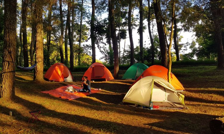 Aktivitas di Tebing Keraton