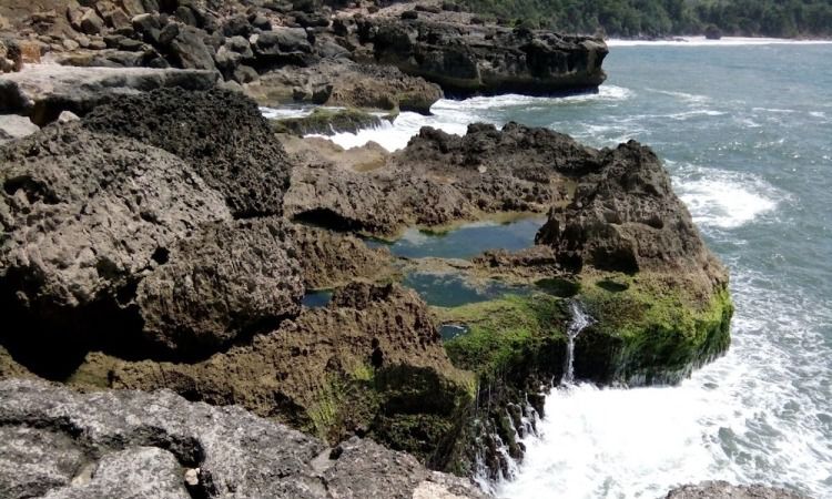 Daya Tarik Dimiliki Pantai Kedung Tumpang
