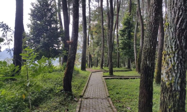 Daya Tarik Dimiliki Tebing Keraton