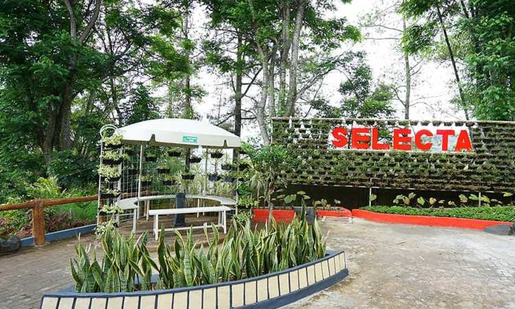 Fasilitas di Kawasan Taman Rekreasi Selecta