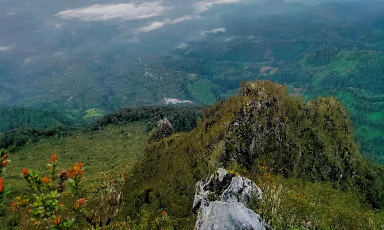 Gunung Berapi Burni Telong