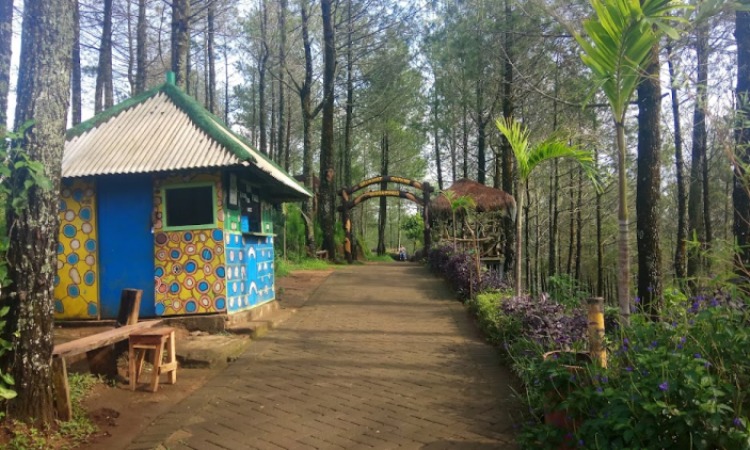 Harga Tiket Goa Pinus Batu