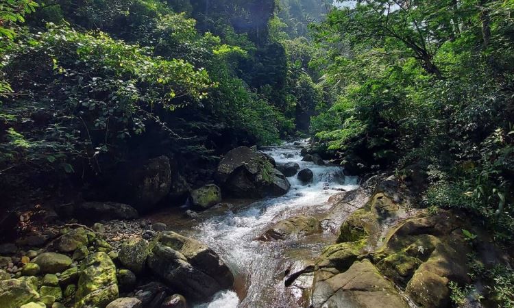 Harga Tiket Masuk Curug Panjang