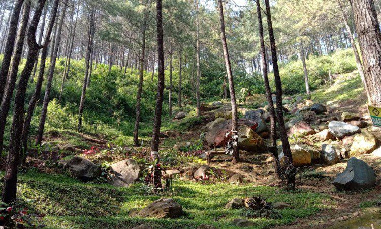 Harga Tiket Masuk Puthuk Panggang Welot