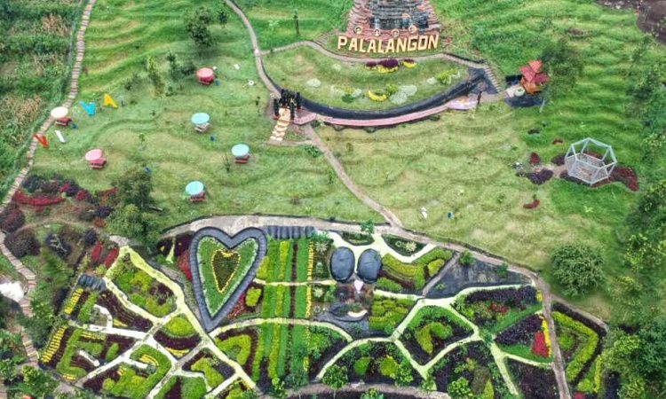 Harga Tiket Palalangon