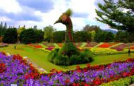 10 Tempat Wisata di Cipanas Cianjur yang Paling Hits Dikunjungi 10 Tempat Wisata di Cipanas Cianjur yang Paling Hits Dikunjungi