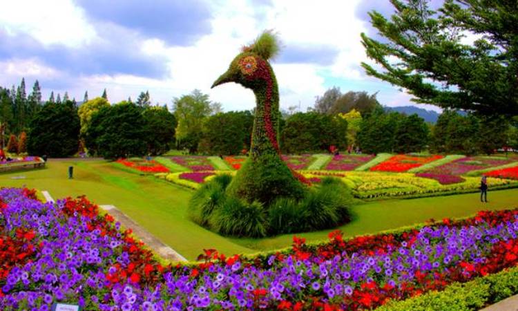 Wisata Cianjur - Wisataku