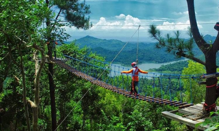 Aktivitas Menarik di Wisata Alam Kalibiru
