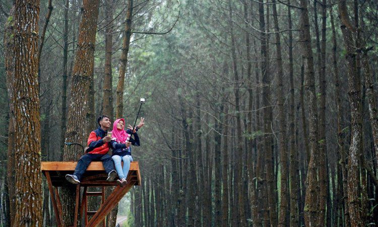 Aktivitas Seru Hutan Pinus Kragilan Magelang