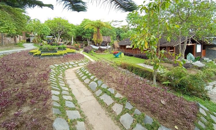 Daya Tarik Dimiliki Agrowisata Bhumi Merapi