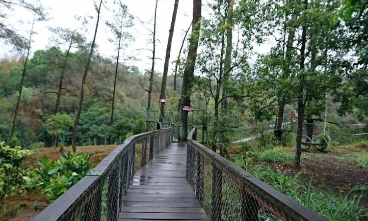Daya Tarik Dimiliki Taman Wisata Kaliurang