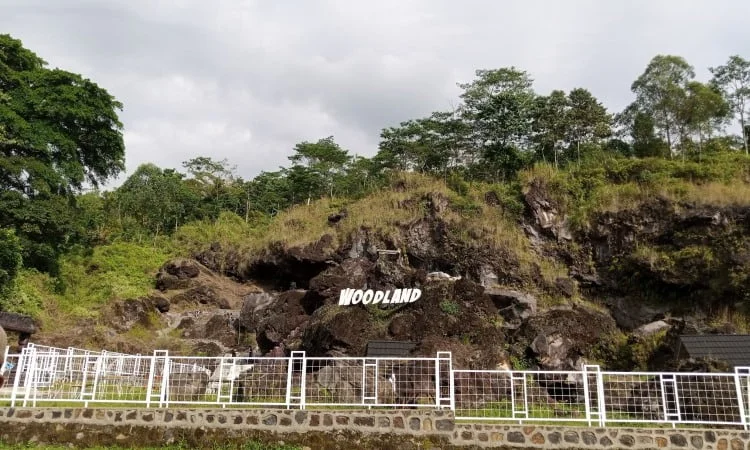 Fasilitas Woodland Kuningan