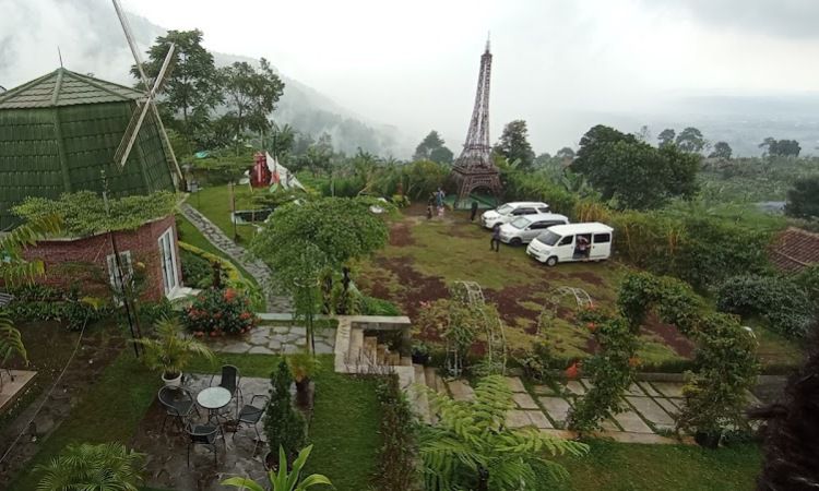 Aktivitas Menarik Dilakukan di D'Orchid