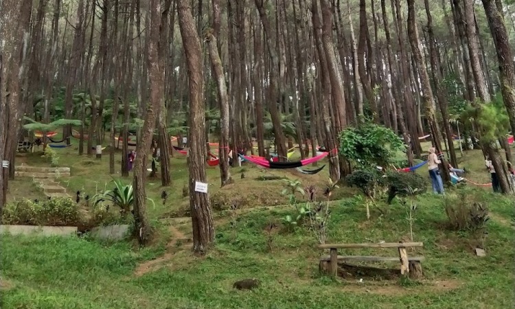 Aktivitas Menarik di Ujung Aspal Wanayasa