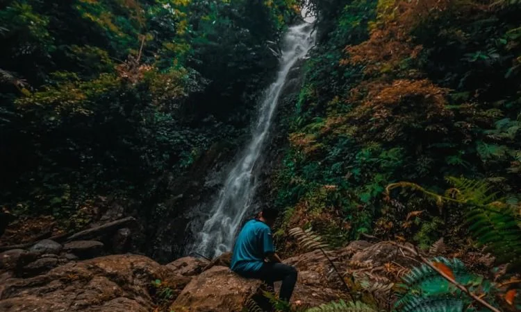 Aktivitas di Gunung Betung