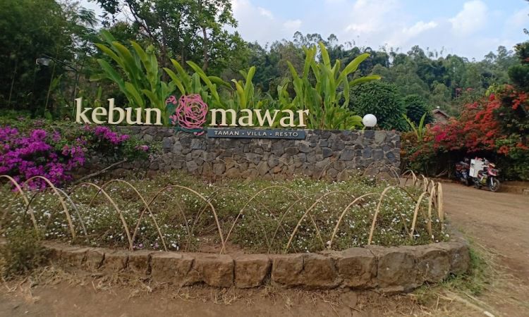 Alamat Kebun Mawar Situhapa