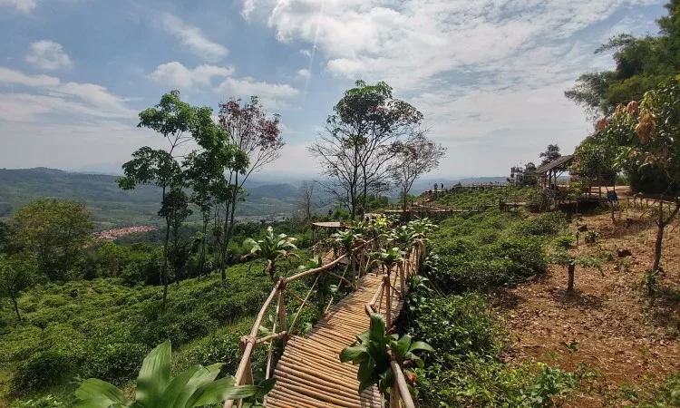 Daya Tarik Bukit Panenjoan
