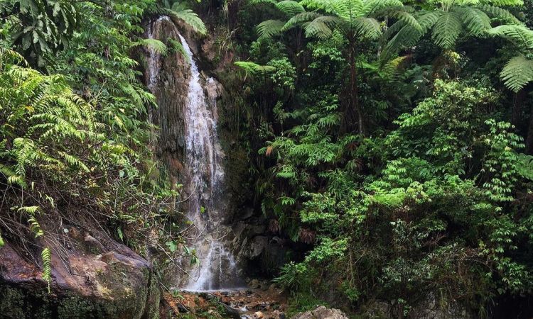 Daya Tarik Dimiliki Curug Ciburial