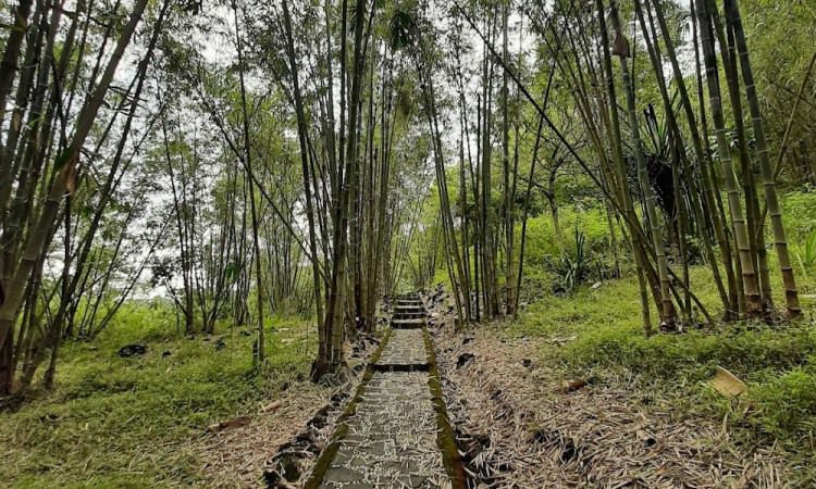 Daya Tarik Dimiliki Desa Wisata Cibuntu