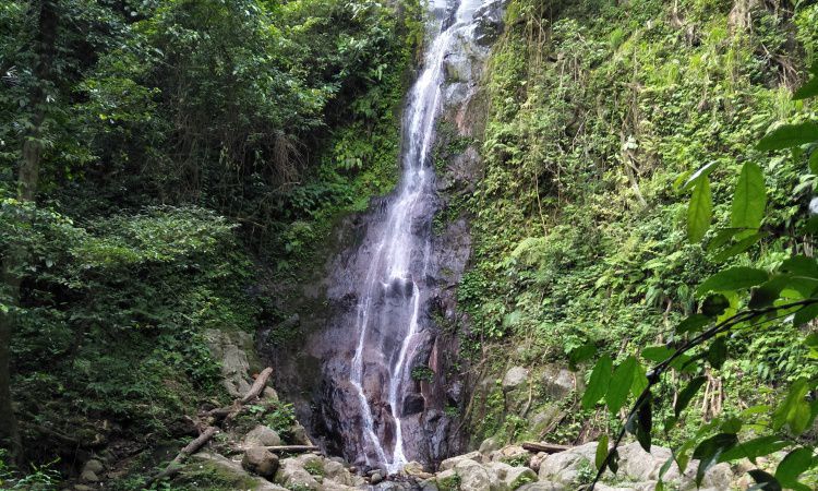 Daya Tarik Dimiliki Gunung Betung