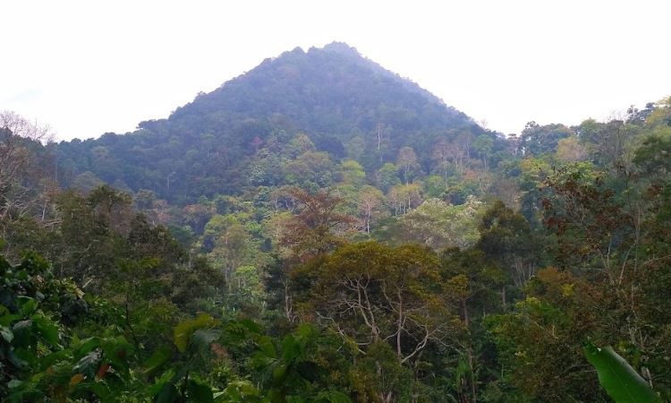 Harga Tiket Gunung Betung