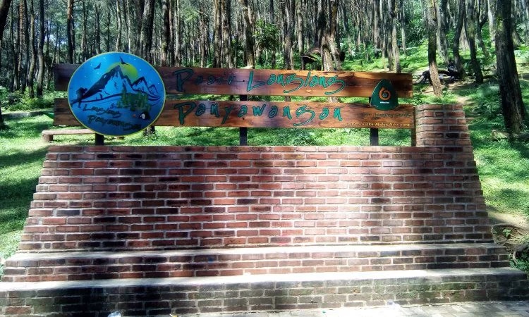 Ujung Aspal Wanayasa, Menikmati Panorama Hutan Pinus Nan Asri Di